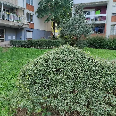 Miljakovac *