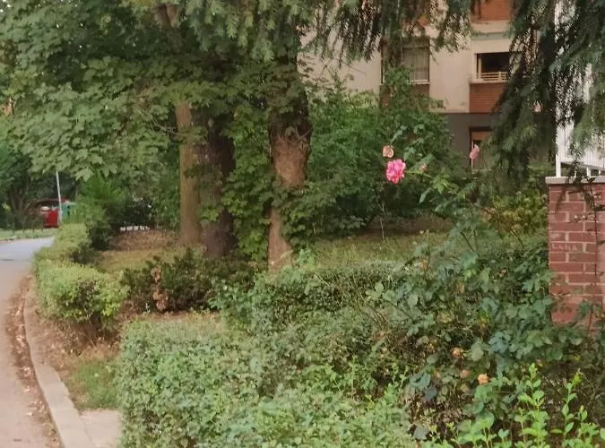 아파트 Miljakovac *